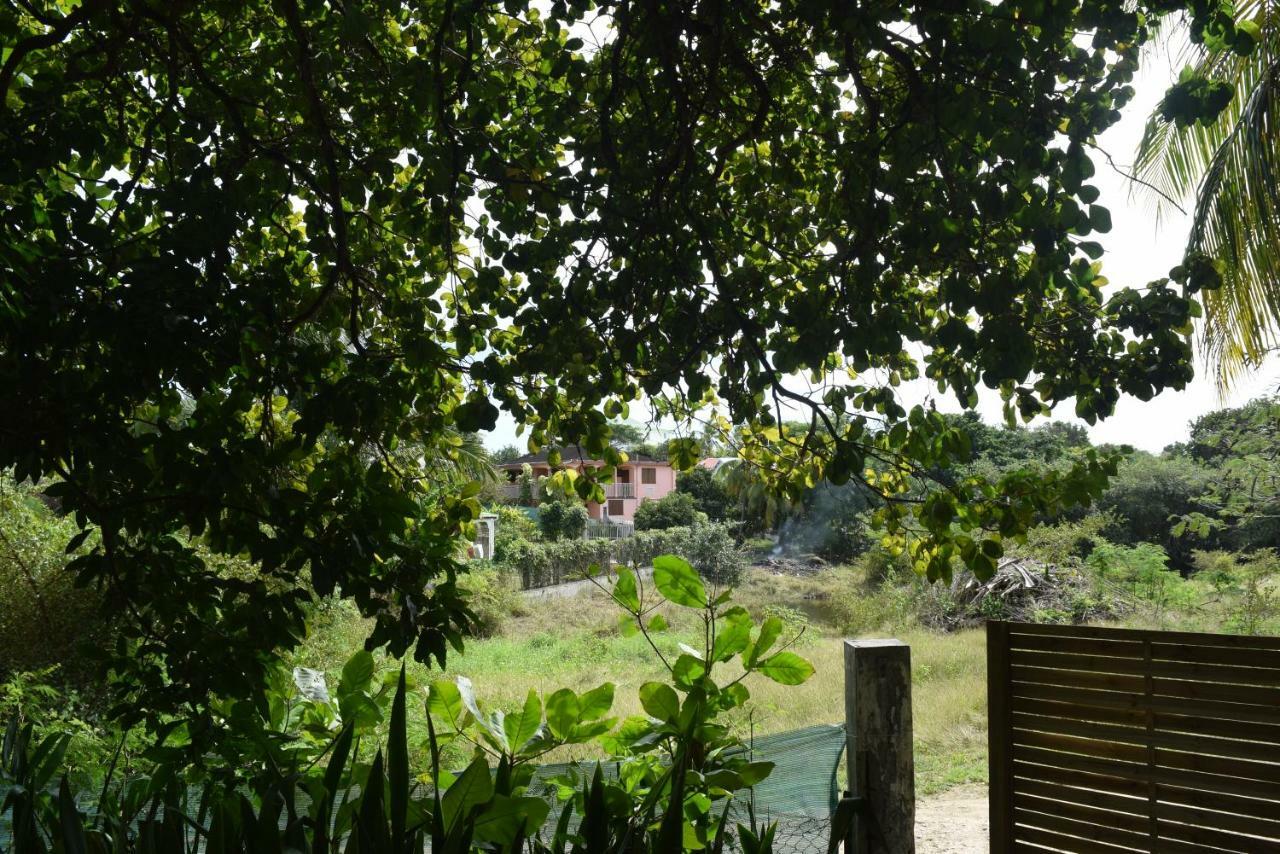 Bungalows Les Vagues Abondes Villa Sainte-Anne  Exterior photo